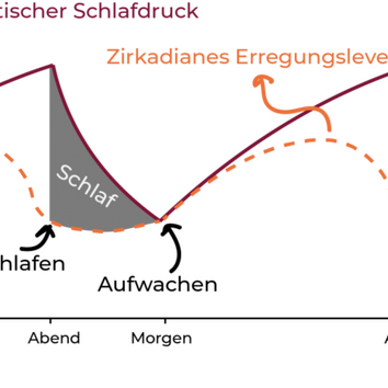 Grafik von Schlaf und Wachphasen